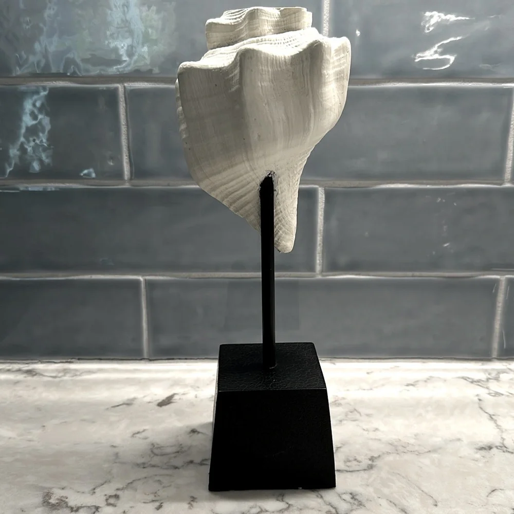 Vintage‎ Coastal Resin Seashell Votive Candle Holder on Black Pedestal 11